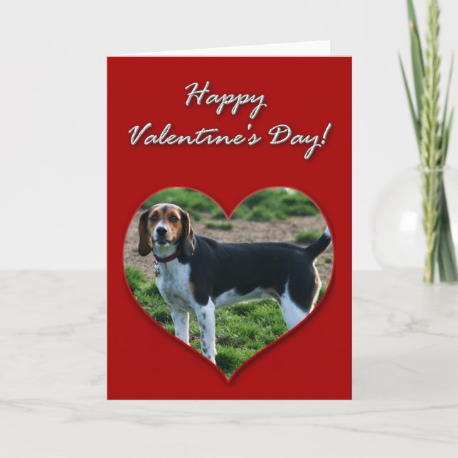 Cartes Pour Fêtes Annuelles Joyeuse Valentine's Day Beagle (Devant)