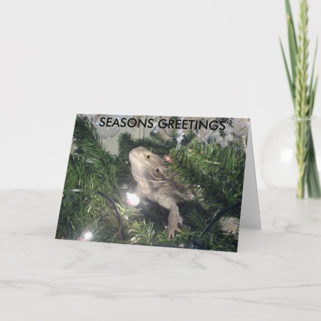 CARTES POUR FÊTES ANNUELLES JOYEUSES FÊTES (Devant)