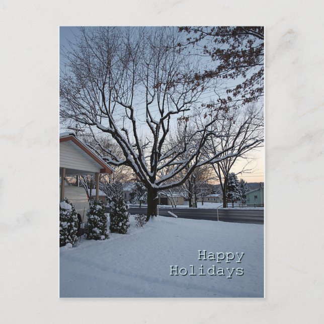 Cartes Pour Fêtes Annuelles Joyeuses fêtes (Devant)