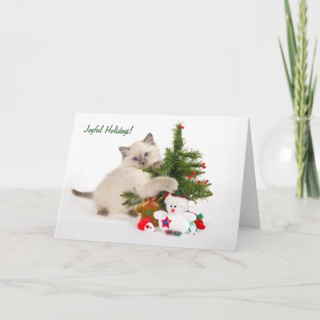 Cartes Pour Fêtes Annuelles Joyeuses fêtes (Devant)
