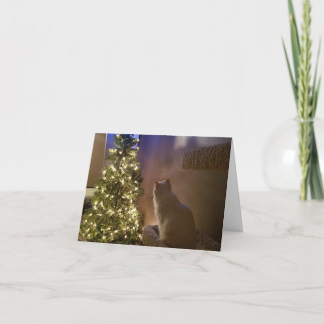 Cartes Pour Fêtes Annuelles Joyeuses fêtes (Devant)