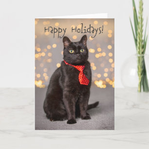 Cartes Pour Fêtes Annuelles Joyeuses Fêtes à Tout Adorable Chat Noir