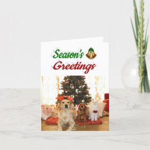 Cartes Pour Fêtes Annuelles Joyeuses Fêtes Bells