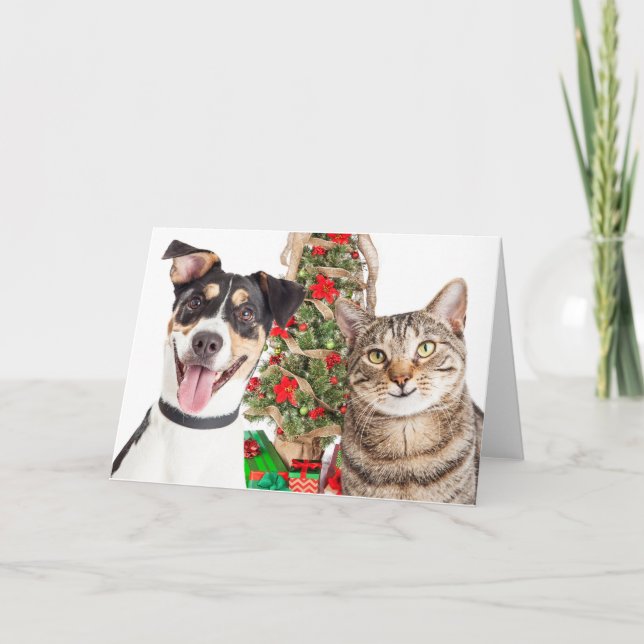 Cartes Pour Fêtes Annuelles Joyeuses fêtes de chien et de chat (Devant)