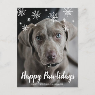 Cartes Pour Fêtes Annuelles Joyeuses Fêtes de fin d'année Photo de chien migno