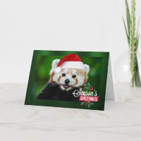 Joyeuses Fêtes de Red Panda Père Noël