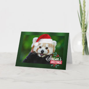 Cartes Pour Fêtes Annuelles Joyeuses Fêtes de Red Panda Père Noël