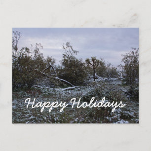 Cartes Pour Fêtes Annuelles Joyeuses Fêtes depuis le désert