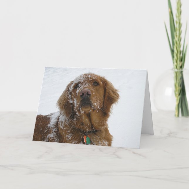 Cartes Pour Fêtes Annuelles Joyeuses Fêtes Dorées (Devant)