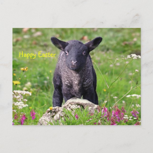 Cartes Pour Fêtes Annuelles Joyeuses Pâques (Devant)