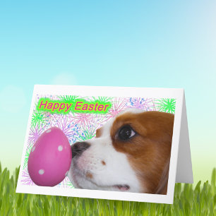 Cartes Pour Fêtes Annuelles Joyeuses Pâques Cavalier King Charles Spaniels