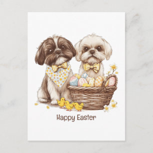 Cartes Pour Fêtes Annuelles Joyeuses Pâques Chiens Shih Tzu