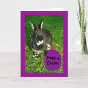 Cartes Pour Fêtes Annuelles Joyeuses Pâques de Somebunny qui vous aime !