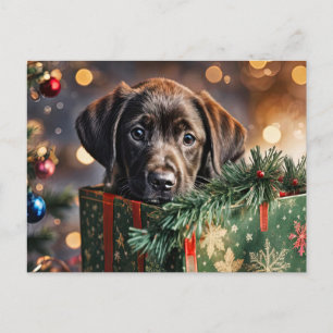 Cartes Pour Fêtes Annuelles Joyeuses Vacances Cute Chocolate Lab Puppy