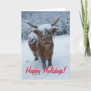 Cartes Pour Fêtes Annuelles Joyeuses Vacances Vache Highland