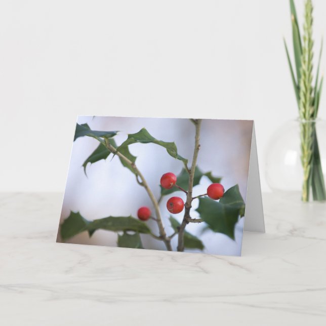 Cartes Pour Fêtes Annuelles Joyeux (Devant)