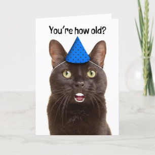 Cartes Pour Fêtes Annuelles Joyeux Anniversaire Chat Choqué avec Humour des de