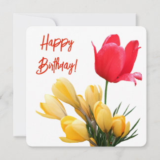 Cartes Pour Fêtes Annuelles Joyeux anniversaire coloré tulipe rouge crocus jau