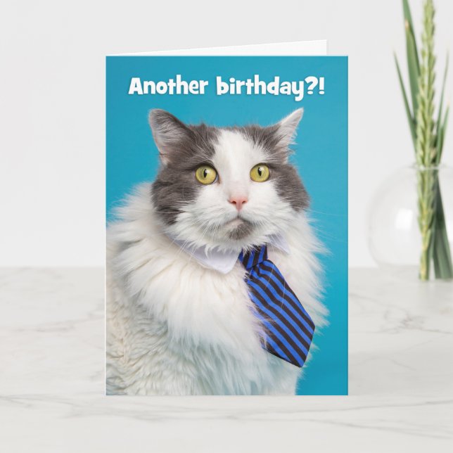 Cartes Pour Fêtes Annuelles Joyeux anniversaire Cute Can en Cravate (Devant)