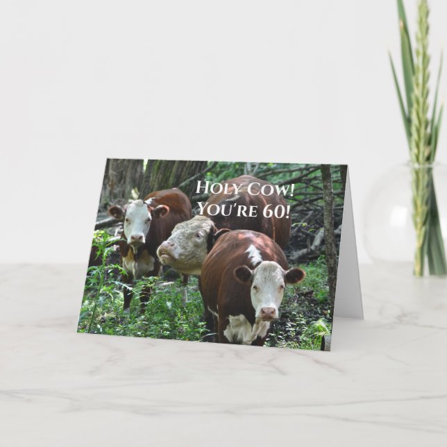 Cartes Pour Fêtes Annuelles Joyeux Anniversaire de la vache sainte ! (Devant)
