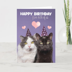 Cartes Pour Fêtes Annuelles Joyeux anniversaire de nous deux chats mignons 