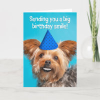 Joyeux Anniversaire Drôle Chien Yorkie Avec Dents