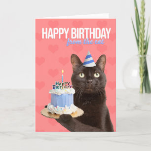 Cartes Pour Fêtes Annuelles Joyeux Anniversaire Du Chat Kitty Avec Humour De G