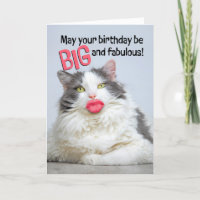 Joyeux Anniversaire Fabuleux Chat Avec Grosse Lèvr