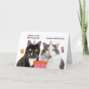 Cartes Pour Fêtes Annuelles Joyeux anniversaire Funny Cats parler Humour