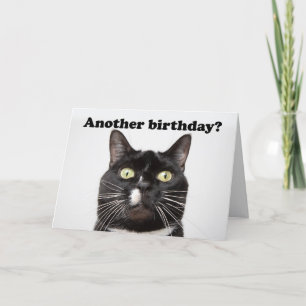Cartes Pour Fêtes Annuelles Joyeux Anniversaire Funny Chat dans votre visage H