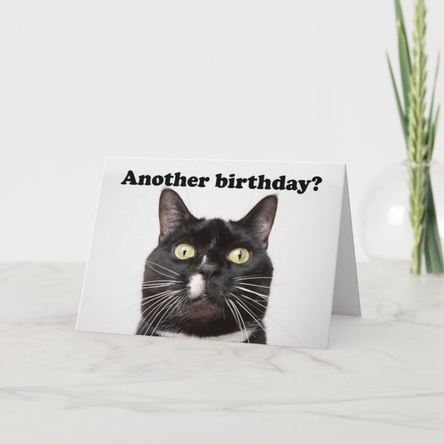 Cartes Pour Fêtes Annuelles Joyeux Anniversaire Funny Chat dans votre visage H (Devant)