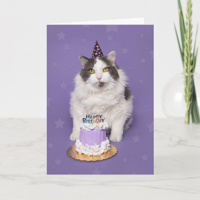 Cartes Pour Fêtes Annuelles Joyeux Anniversaire Graisse Chat Avec Humour De Gâ (Devant)