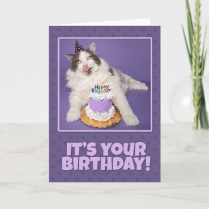 Cartes Pour Fêtes Annuelles Joyeux Anniversaire Graisse Chat Lique Face Avec G