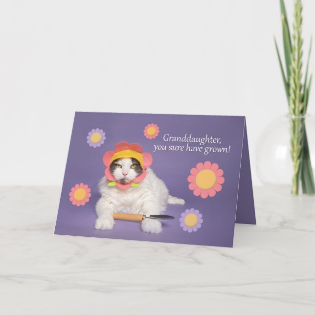 Cartes Pour Fêtes Annuelles Joyeux anniversaire grand-fille chat en Casquette  (Devant)