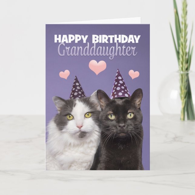 Cartes Pour Fêtes Annuelles Joyeux anniversaire grand-fille deux chats mignons (Devant)