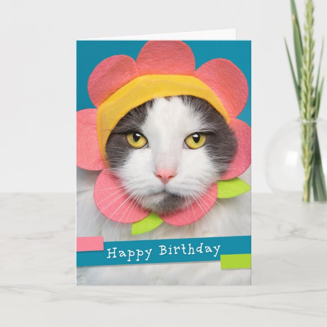 Cartes Pour Fêtes Annuelles Joyeux Anniversaire jolie Chat dans un Humour Casq (Devant)