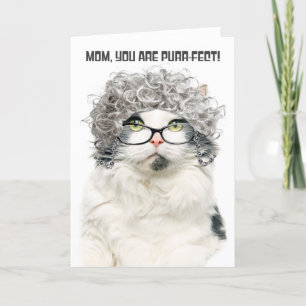 Cartes Pour Fêtes Annuelles Joyeux Anniversaire Maman Drôle Vieux Chat Avec Ch