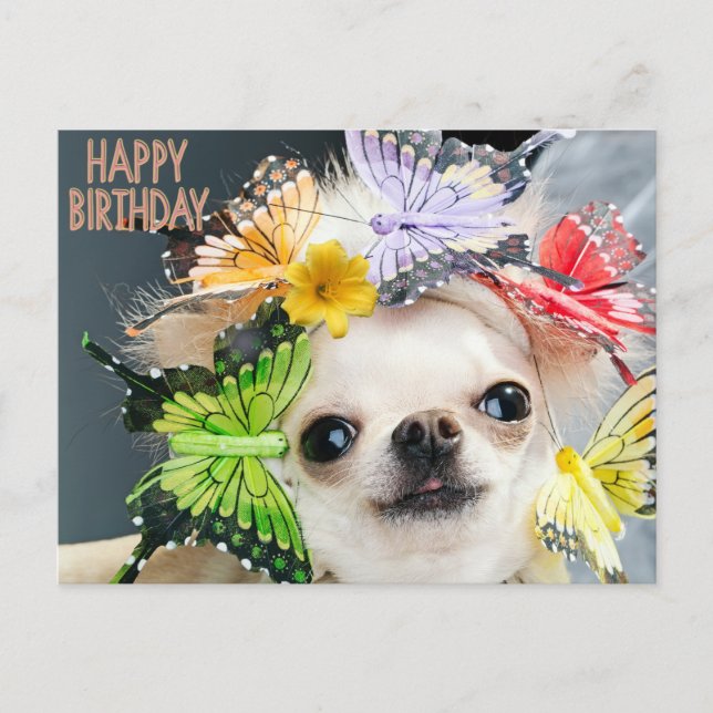 Cartes Pour Fêtes Annuelles Joyeux anniversaire mignon chien drôle (Devant)