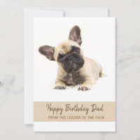 Joyeux anniversaire papa French Bulldog Photo Gree
