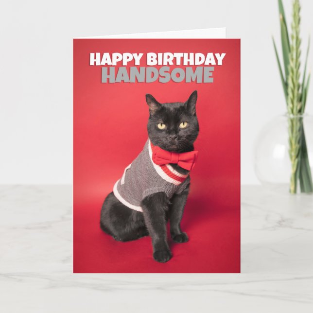 Cartes Pour Fêtes Annuelles Joyeux anniversaire pour lui mignon Humour chat (Devant)
