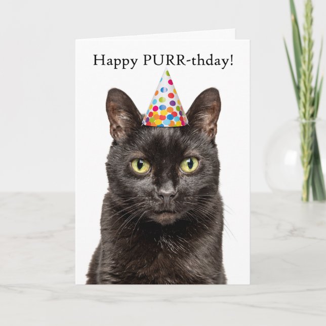 Cartes Pour Fêtes Annuelles Joyeux anniversaire pour n'importe qui Chat dans l (Devant)