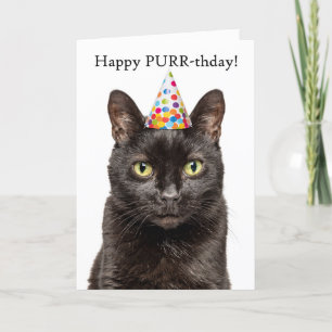 Cartes Pour Fêtes Annuelles Joyeux anniversaire pour n'importe qui Chat dans l