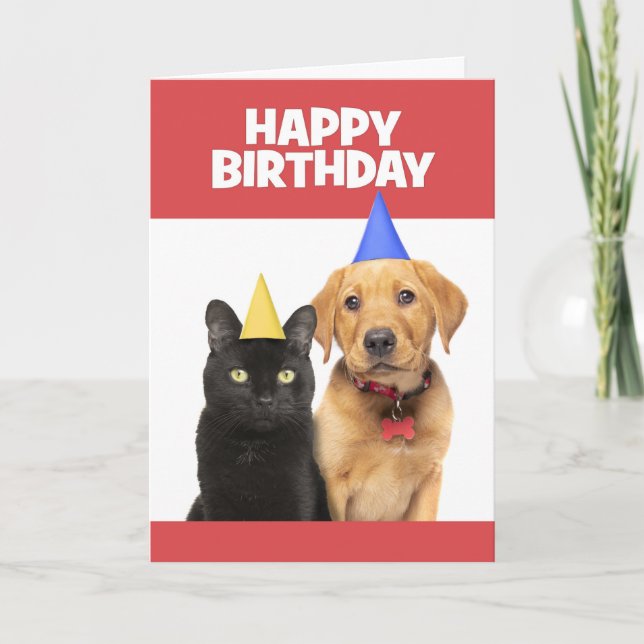 Cartes Pour Fêtes Annuelles Joyeux anniversaire pour n'importe qui Chat et Chi (Devant)