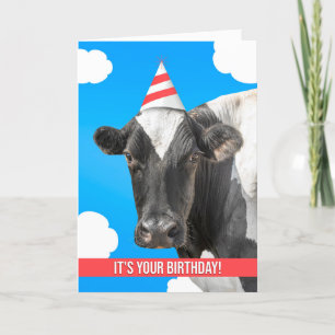 Cartes Pour Fêtes Annuelles Joyeux Anniversaire Pour N'Importe Qui Humour Vach