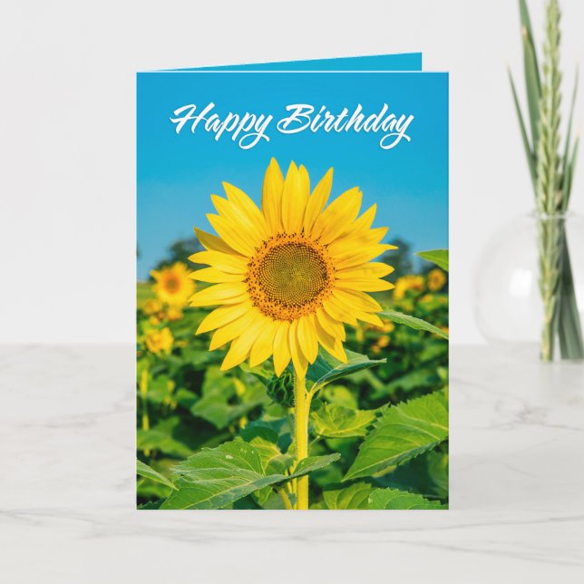Cartes Pour Fêtes Annuelles Joyeux Anniversaire Pour Tous Beau Tournesol (Devant)