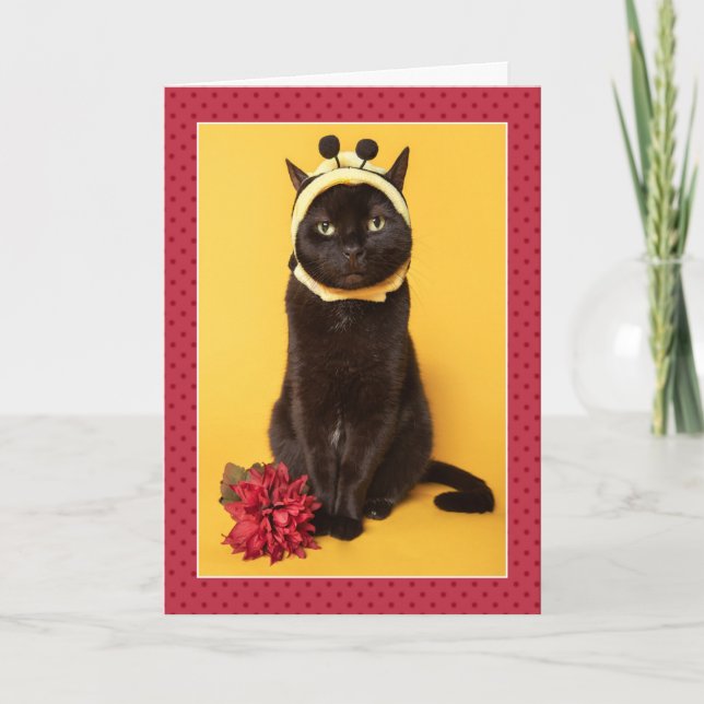 Cartes Pour Fêtes Annuelles Joyeux anniversaire pour toute personne drôle Chat (Devant)