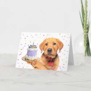 Cartes Pour Fêtes Annuelles Joyeux Anniversaire Pour Toute Personne Puppy Hold