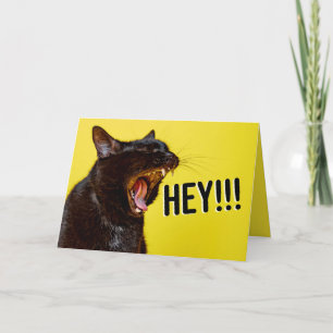 Cartes Pour Fêtes Annuelles Joyeux Anniversaire Pour Toute Personne Qui Crie H