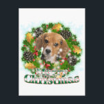 Cartes Pour Fêtes Annuelles Joyeux Beagle de Noël<br><div class="desc">Célébrez Noël avec l'une de vos races préférées de chiens ! Fabrique une grande farce de bas pour la famille et les amis!</div>
