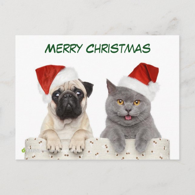 Cartes Pour Fêtes Annuelles Joyeux Carlin de Noël chien et Kittten (Devant)